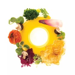 Stampo in silicone cerchio 3.0 silikomart naturae Silikomart  in Stampi in silicone per dolci