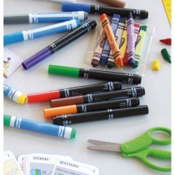 Smacchiatore per inchiostro Argonit Pro Ink   in Detergenti