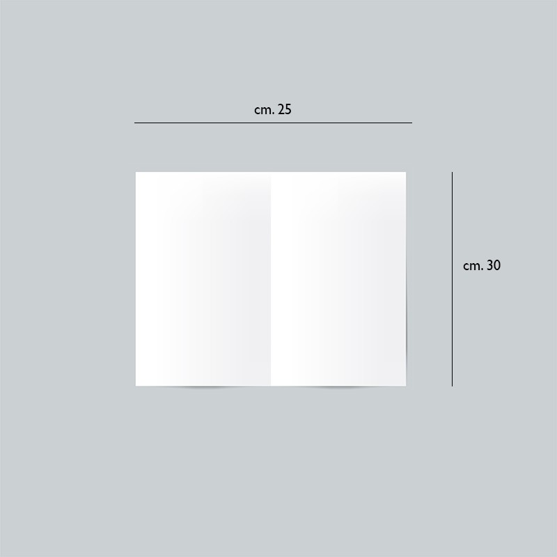 Asciugamano in carta omnia labor   in Dispenser bagno