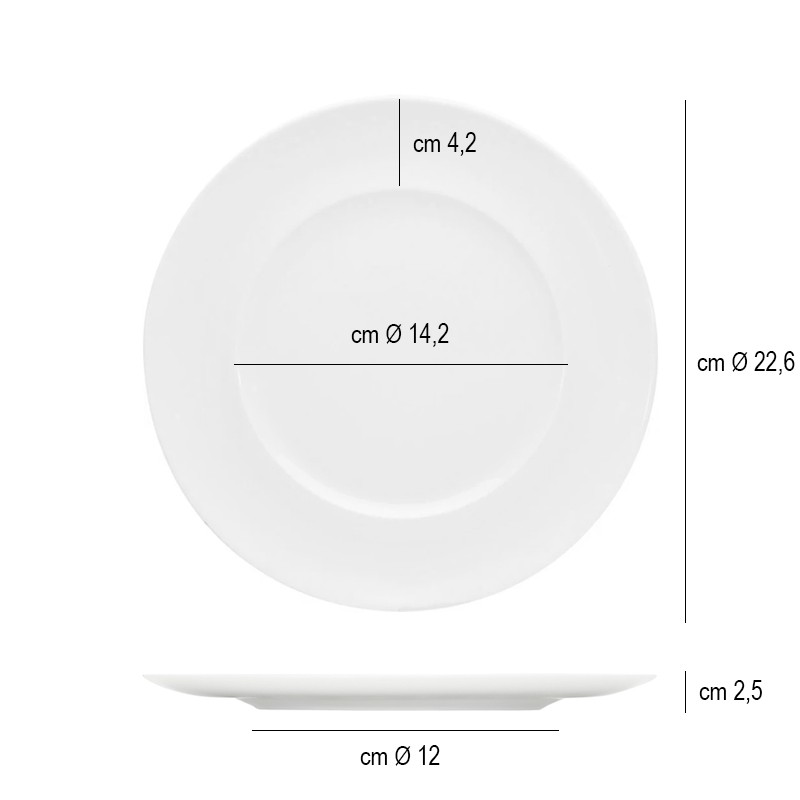 Piatto porcellana gourmet falda Bauscher  in Linee
