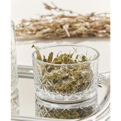 Coppetta vetro timeless Pasabahce  in Coppe per gelato