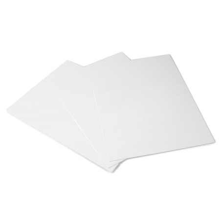 Fogli acchiappamosche | Attrezzature per le pulizie | Rausa srl