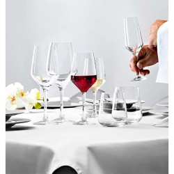 Calice di vetro mencia   in Calici vino bianco