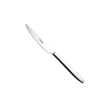 Coltello tavola Salvinelli Fast acciaio inox | posate da tavola | rausa