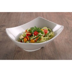 Ciotola in melamina rettangolare Leone decorazioni  in Porcellane