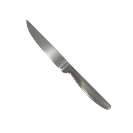 Coltello bistecca Berlino satinato | Lama liscia