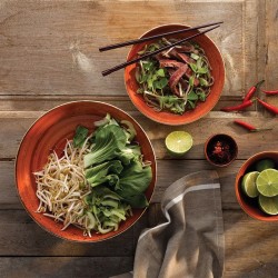 Churchill stonecast spiced orange coppetta tonda Churchill Porcellana  in Linee