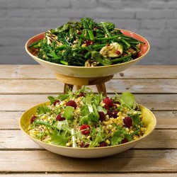 Piatto fondo churchill stonecast spiced orange Churchill Porcellana  in Linee