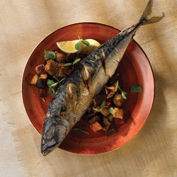 Piatto fondo churchill stonecast spiced orange Churchill Porcellana  in Linee