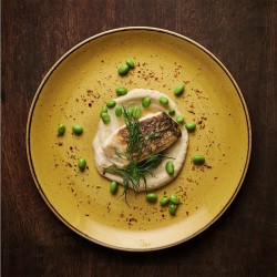 Piatto dessert churchill stonecast mustard seed yellow Churchill Porcellana  in Linee