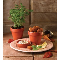 Vasetto basso terracotta porcellana Churchill Porcellana  in Porcellane