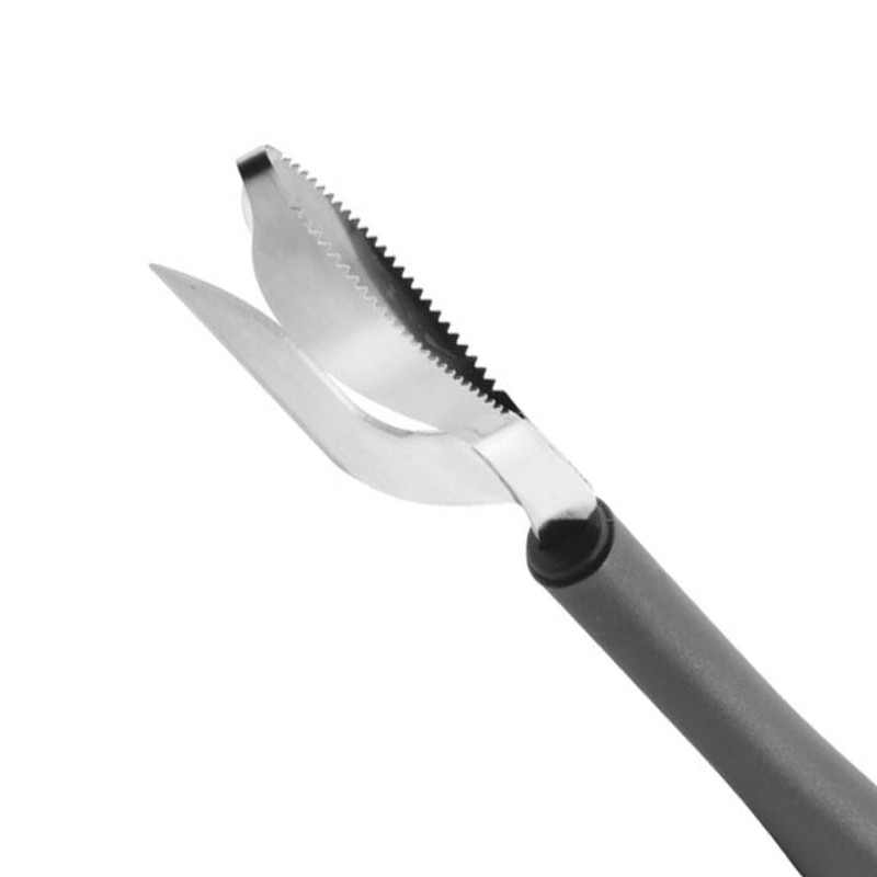 Squamapesce con coltello Sambonet Paderno  in Coltelli da cucina professionali
