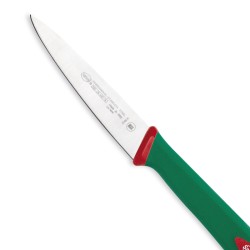 Coltello spelucchino professionale sanelli Sanelli Premana coltelli  in Coltelli da cucina professionali