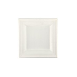 Piatti biodegradabili quadrati 20 cm | Piatti ecologici | Rausa srl