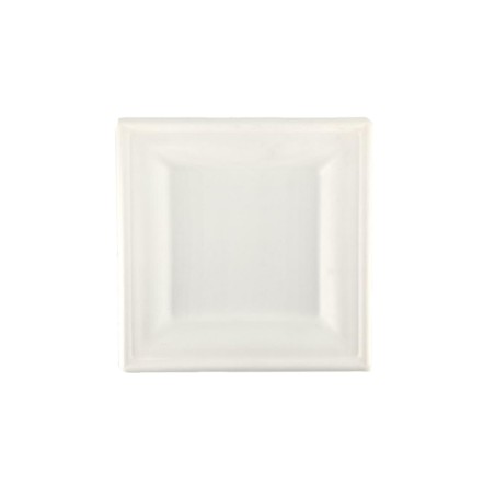 Piatti biodegradabili quadrati 20 cm | Piatti ecologici | Rausa srl