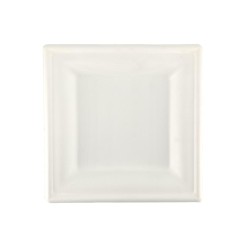Piatti biodegradabili quadrati 26 cm | Piatti ecologici | Rausa srl