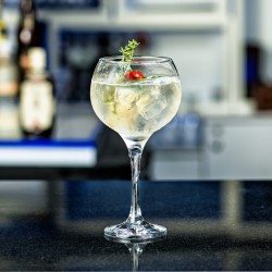 Calice vetro cocktail gin tonic cubata cl. 79 Pasabahce  in Bicchieri