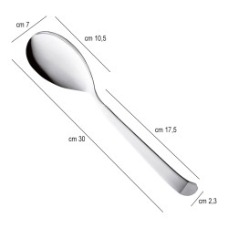 Cucchiaio per servire cm 30 Pintinox  in Posate