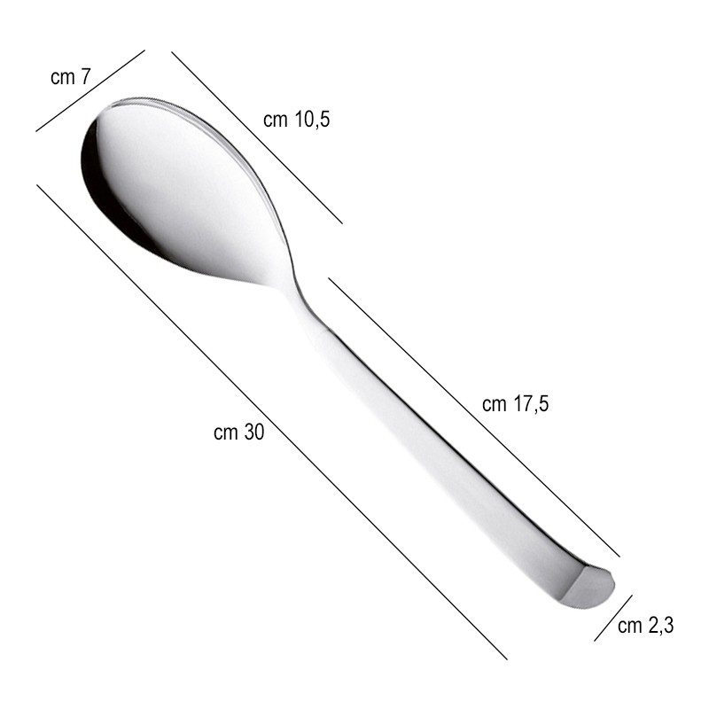 Cucchiaio per servire cm 30 Pintinox  in Posate