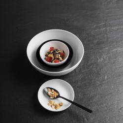 Piatto tasting universal nero cm 24   in Linee