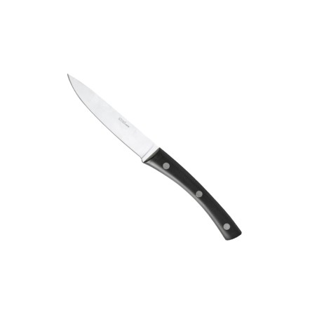 Coltello da carne abert 22,5 cm | Posate da tavola | Rausa srl